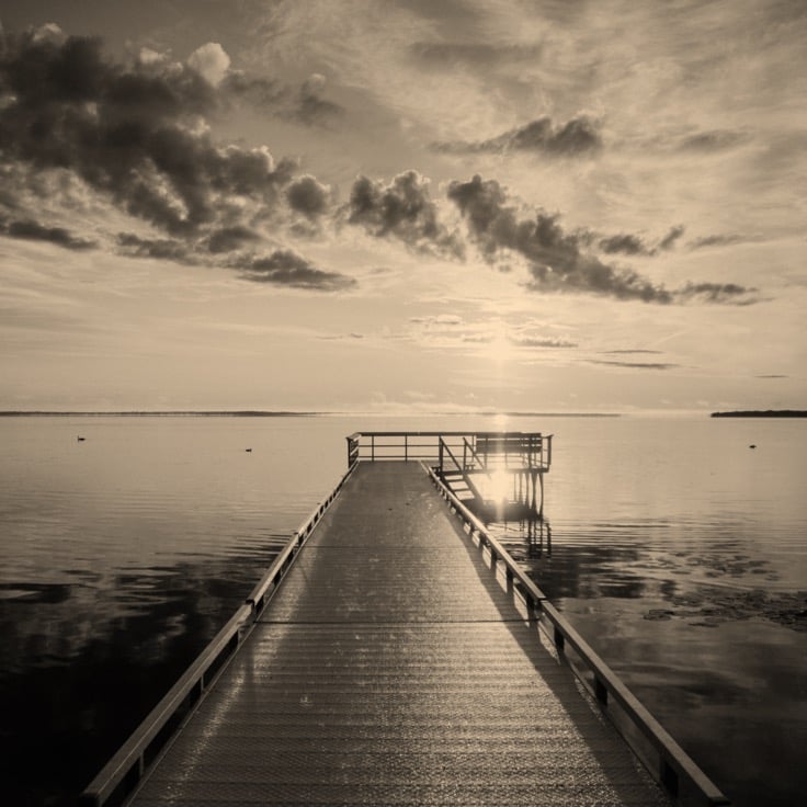 Empower_your_legacy_736_Sepia.jpg